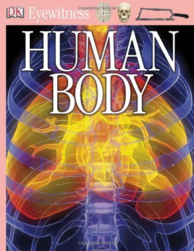 Human Body