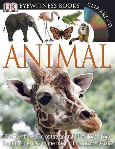 Animal