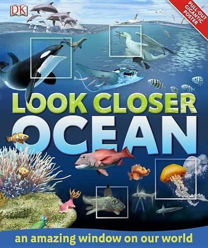 Look Closer: Ocean