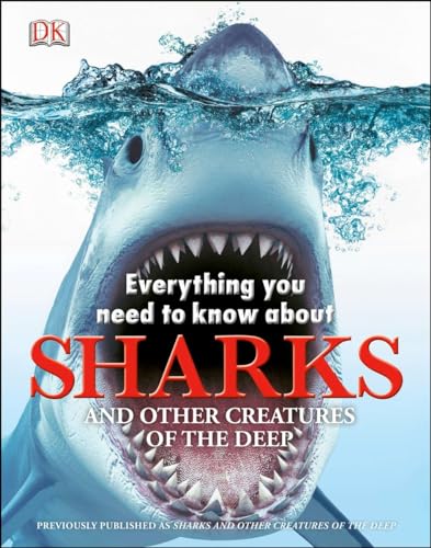 Everything You Need To Know About Sharks