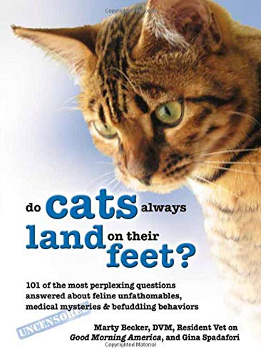 Why Do Cats Always Land on Their Feet?