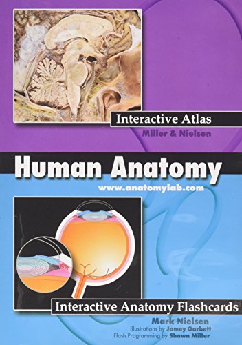 Human Anatomy Interactive Atlas/Interactive Lectures Flashcards