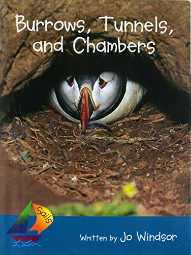 Burrows, Tunnels, and Chambers