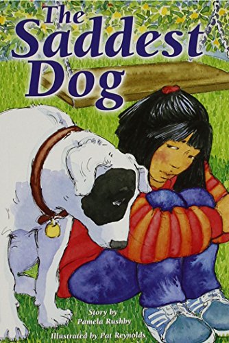 The Saddest Dog