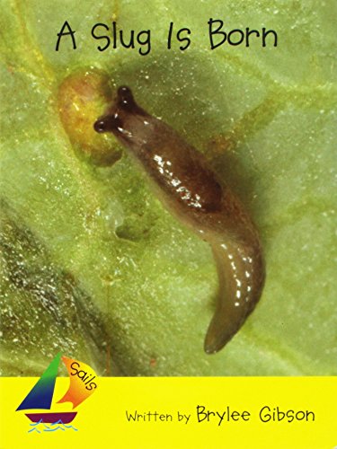 A Rus A Slug Is Born- Sails Early 2nf