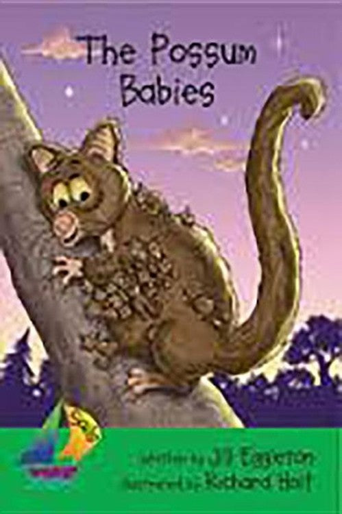 Rus Possum Babies- Sails Early 4f