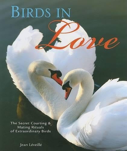 Birds in Love
