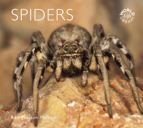 Spiders