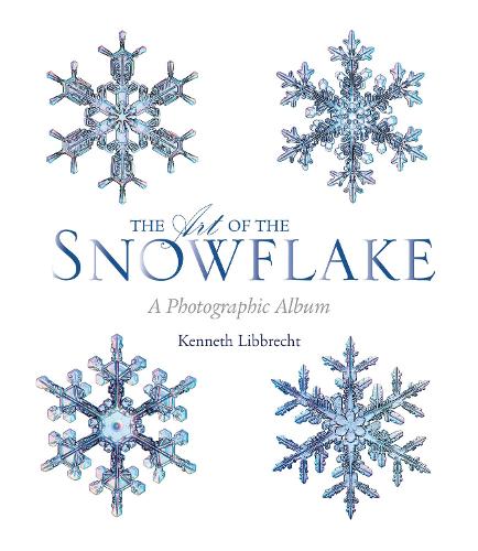 The Art of the Snowflake
