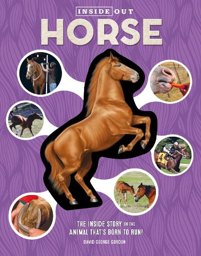 Inside Out Horse