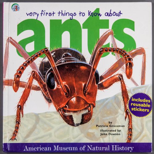 Very First Things to Know About Ants