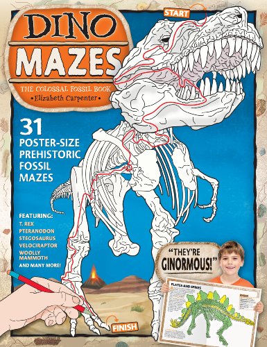 Dino Mazes the Colossal Fossil Book