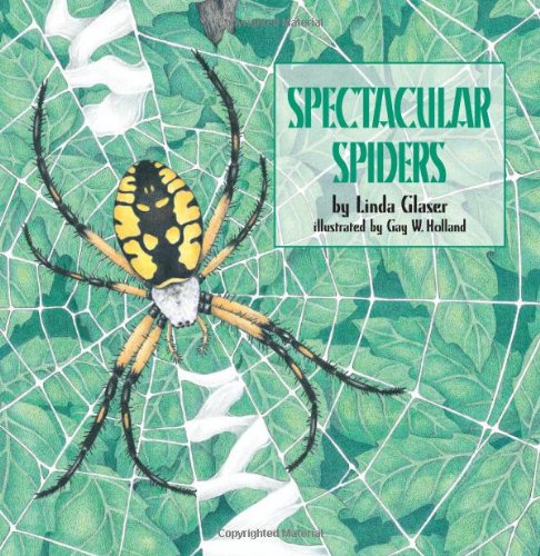 Spectacular Spiders