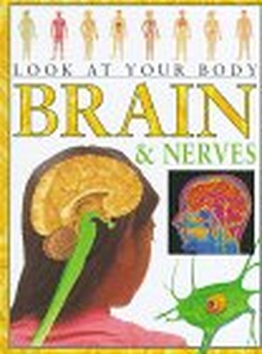 Brain and Nerves