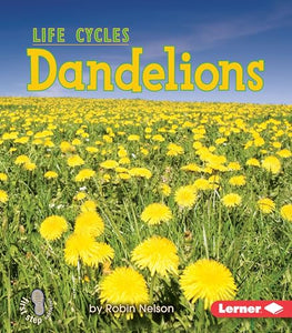 Dandelions 