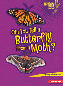 Can You Tell a Butterfly from a Moth? 