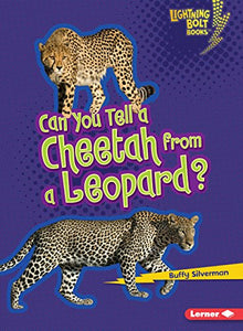 Can You Tell a Cheetah from a Leopard? 