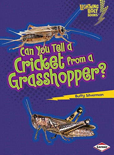 Can You Tell a Cricket from a Grasshopper