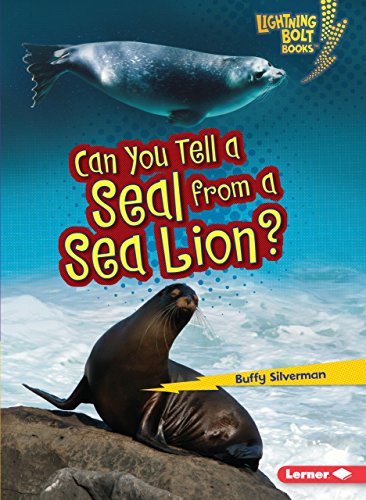 Can You Tell a Seal from a Sea Lion