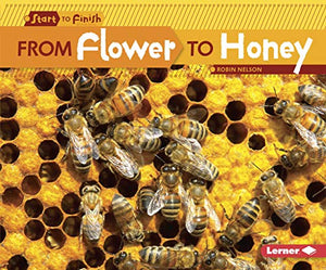 From Flower to Honey 