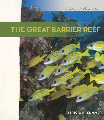The Great Barrier Reef