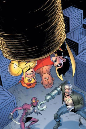 Young Justice #8