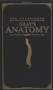 Anatomy 
