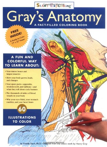 Start Exploring "Gray's Anatomy"