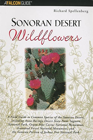 Sonoran Desert Wildflowers