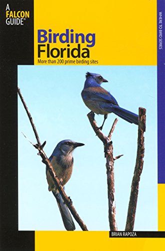Birding Florida