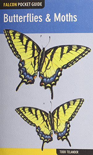 Butterflies & Moths