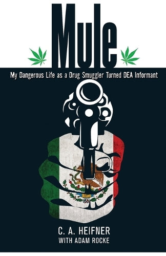Mule