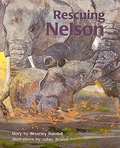 Rescuing Nelson