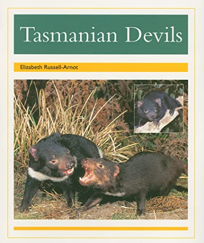 Tasmanian Devils