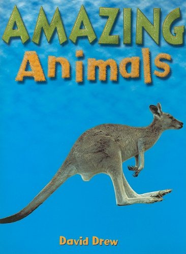 Amazing Animals