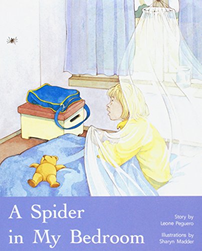 A Spider in My Bedroom