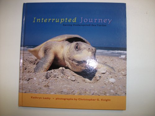 Interrupted Journey