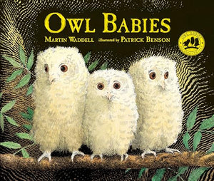 Owl Babies 