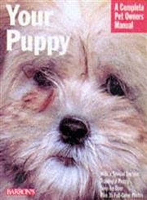 Your Puppy