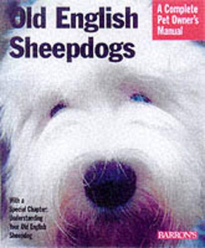 Old English Sheepdogs