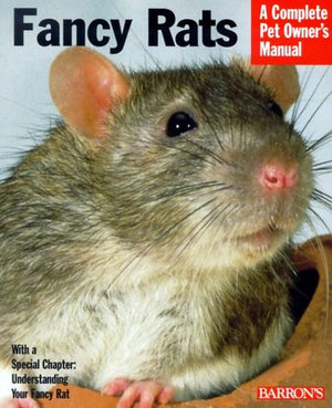 Fancy Rats