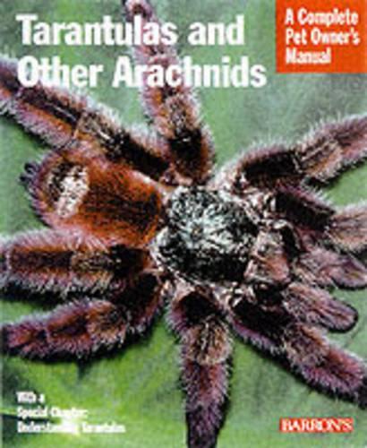 Tarantulas and Other Arachnids