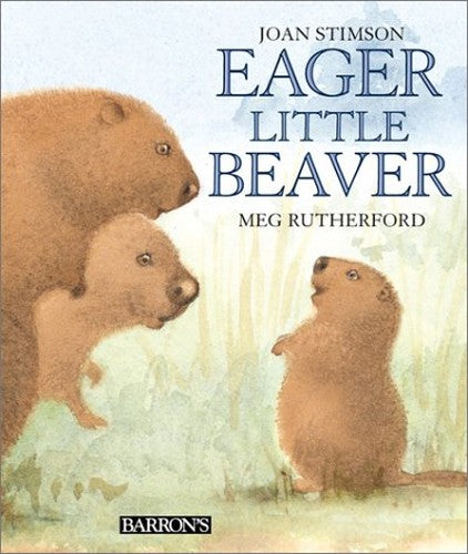 Eager Little Beaver