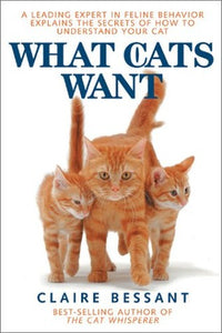 What Cats Want 