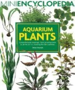 Aquarium Plants 