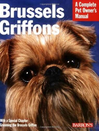 Brussels Griffons