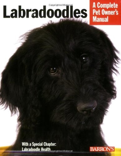 Labradoodles