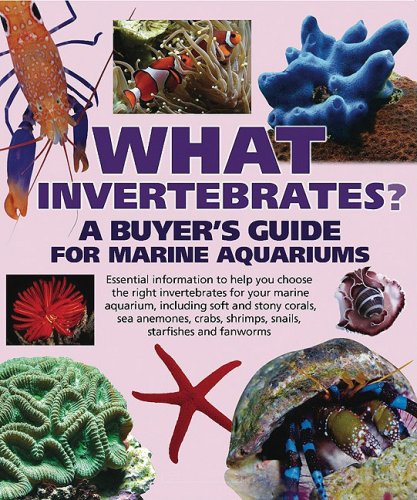 What Invertebrates?
