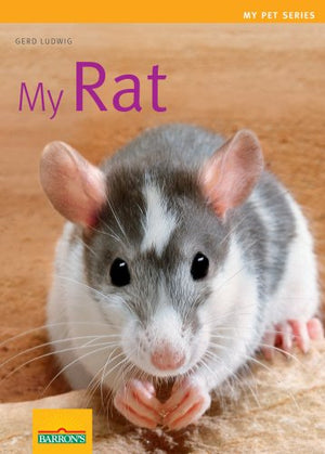 My Rat