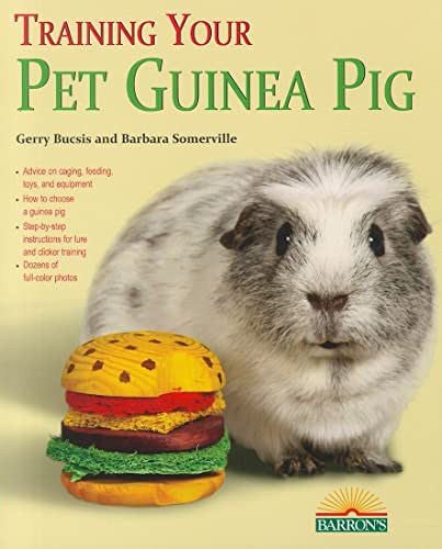 Training Your Guinea Pig